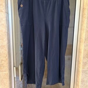 J. Jill Dark Blue Ankle Pants